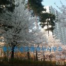 청해공인중개사사무소 이미지