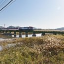 태백산맥거리1 이미지