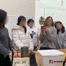 실내식물관리사 2급 자격증 과정 이미지