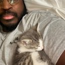 고양이집사 이미지