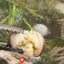 광주 화정동 맛집 | 쭈꾸미 샤브샤브 &#34;왕대박삼순이네 본점&#34; (예약 및 웨이팅)