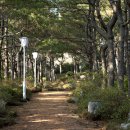 호텔힐링 이미지