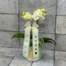 승진농장2 이미지