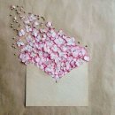 대구주유소 이미지