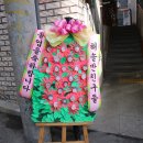 일곱색깔유치원 이미지
