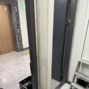 부산 곰팡이제거업체 곰박사 추천 내돈내산 후기