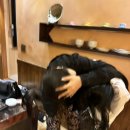 용일약국 이미지