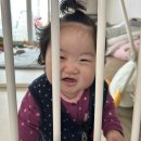 한아름돌곱창 이미지