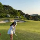 정자스크린골프 이미지