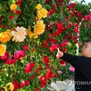 장성어린이공원 이미지