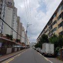 사파동310 이미지