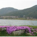 초록빛목장 이미지