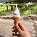 의정부 오리나라 후기, 회전 숯불구이 미쳤던 민락동 오리 맛집