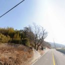 남해-213 이미지