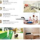 대신해모로센트럴 이미지