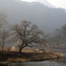 개미들마을 이미지