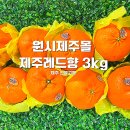 원시선물고팡 - 제주시 월성로 15 | 원시선물고팡