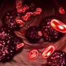 단우한의원 이미지