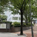 세종시청 정문 | 📸 서울 감성 한눈에! 정동전망대에서 덕수궁·서울시청 스카이라인 무료 감상✨