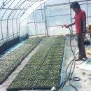 추부농장 이미지