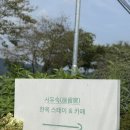 충주 카페 추천 | 소태면 재방문 하고 싶은 ‘서유숙카페’