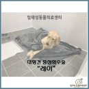 임재성동물의료센터 이미지