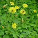 산본고등학교 이미지