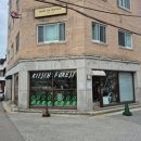 강릉포레스트 | 강릉역소품샵 [키치포레스트] 5분 강릉캐리커처 후기!