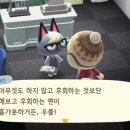 부타 이미지