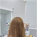 이어진;아름다움을잇다