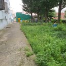 영안아파트 이미지