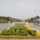 카이스트 정문 이미지