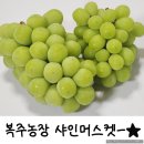 복주농장 이미지