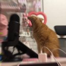 정우농장 | 9月_동해도 내가 다이빙하면 아담한 풀장