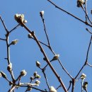 청풍농장 이미지