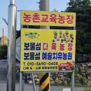보물섬다육