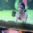 보고수족관
