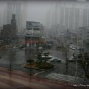 해운대문화회관 이미지