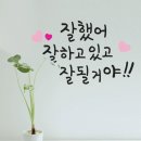주)씨엔에프 네이버블로그