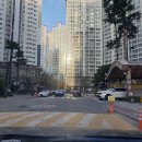 중앙도로 주차 단속 요청합니다 이미지