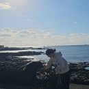 보애네 | 둘째맘의 유모차 선택 ! 누비앤타보 절충형 유모차 베프 사용 후기