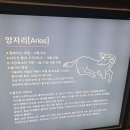 터널분식 이미지