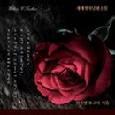 장미약국 이미지