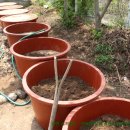 연꽃유치원 이미지