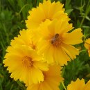 학의천변 이미지