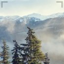 서울닥터스치과의원 이미지