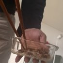 오성감자탕 | 3월 결산