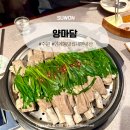 권광로175번길 | 수원 인계동 맛집 내돈내산 양고기 맛있는 양마담