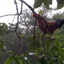 청리농장 이미지