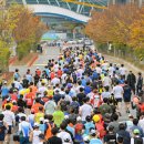 팔마주경기장 이미지